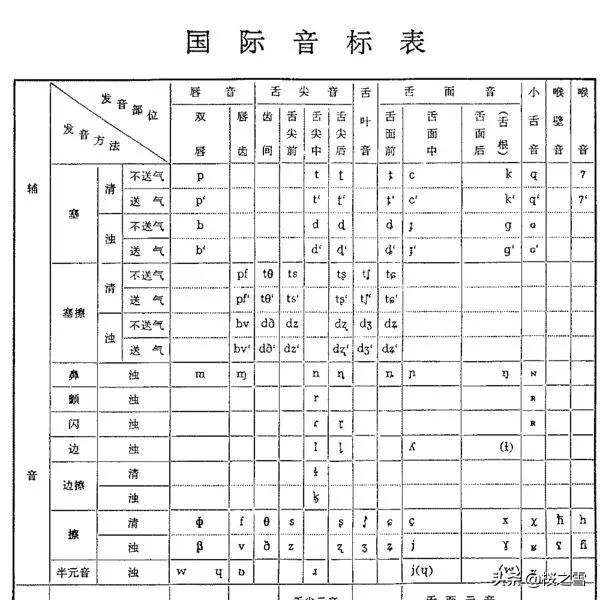 shape of you歌曲翻译成中文_faded歌曲是什么意思