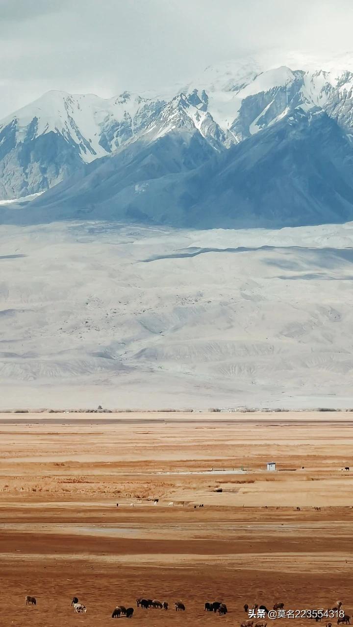 中移系统集成招聘岗位怎么样啊_中移系统集成在移动占什么地位