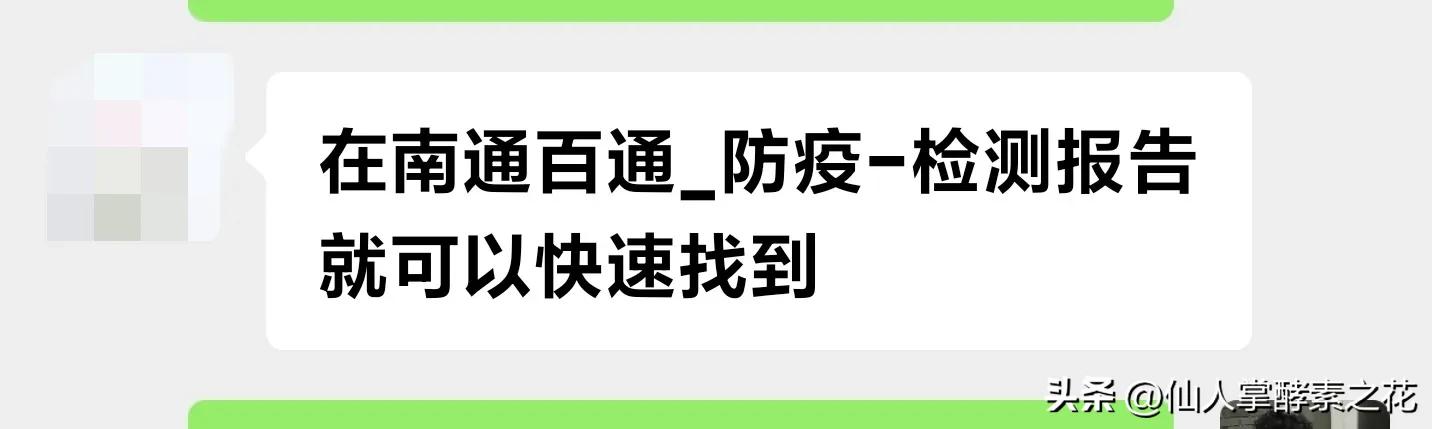 软件测试报告 软件测试报告模板