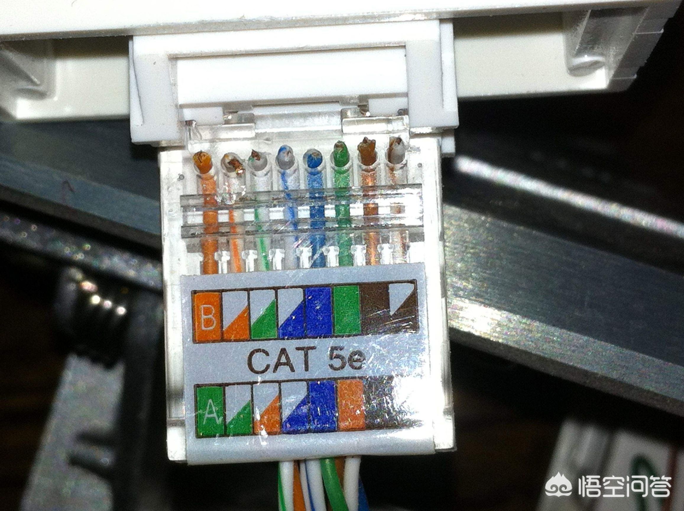 网线正确接线图片_网线插座接法顺序口诀