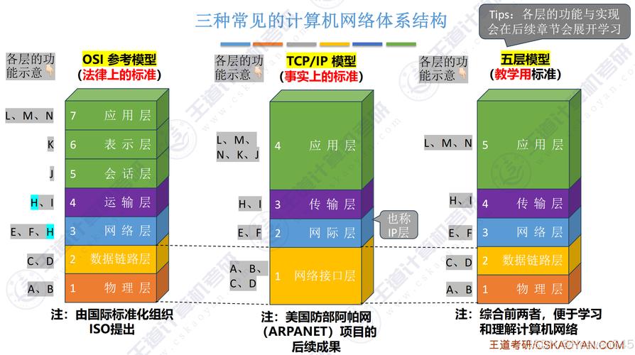 网络架构基础知识测试_什么是整个网络体系结构的基础部分