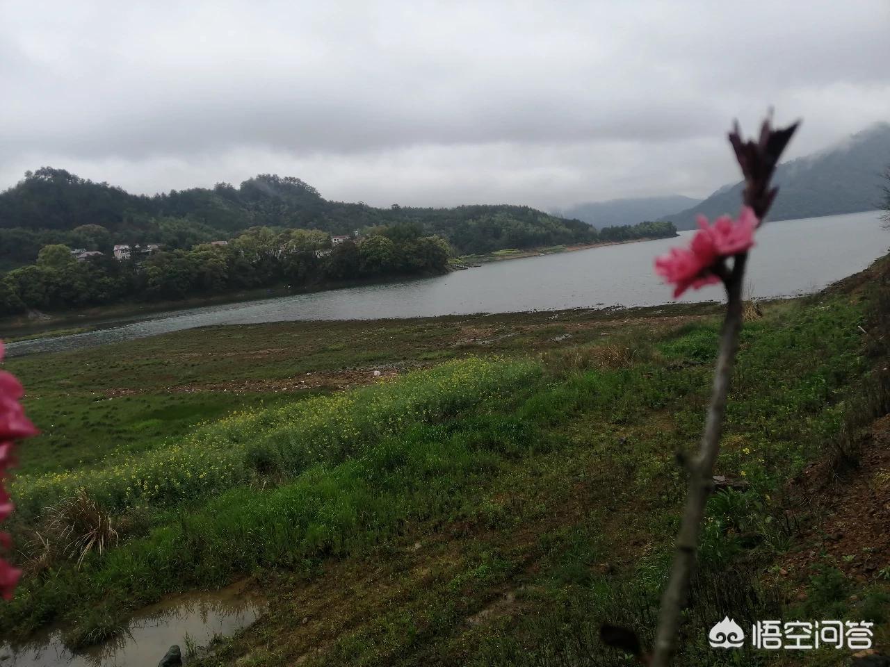 背景图片清新淡雅唯美高清,背景图片清新淡雅唯美