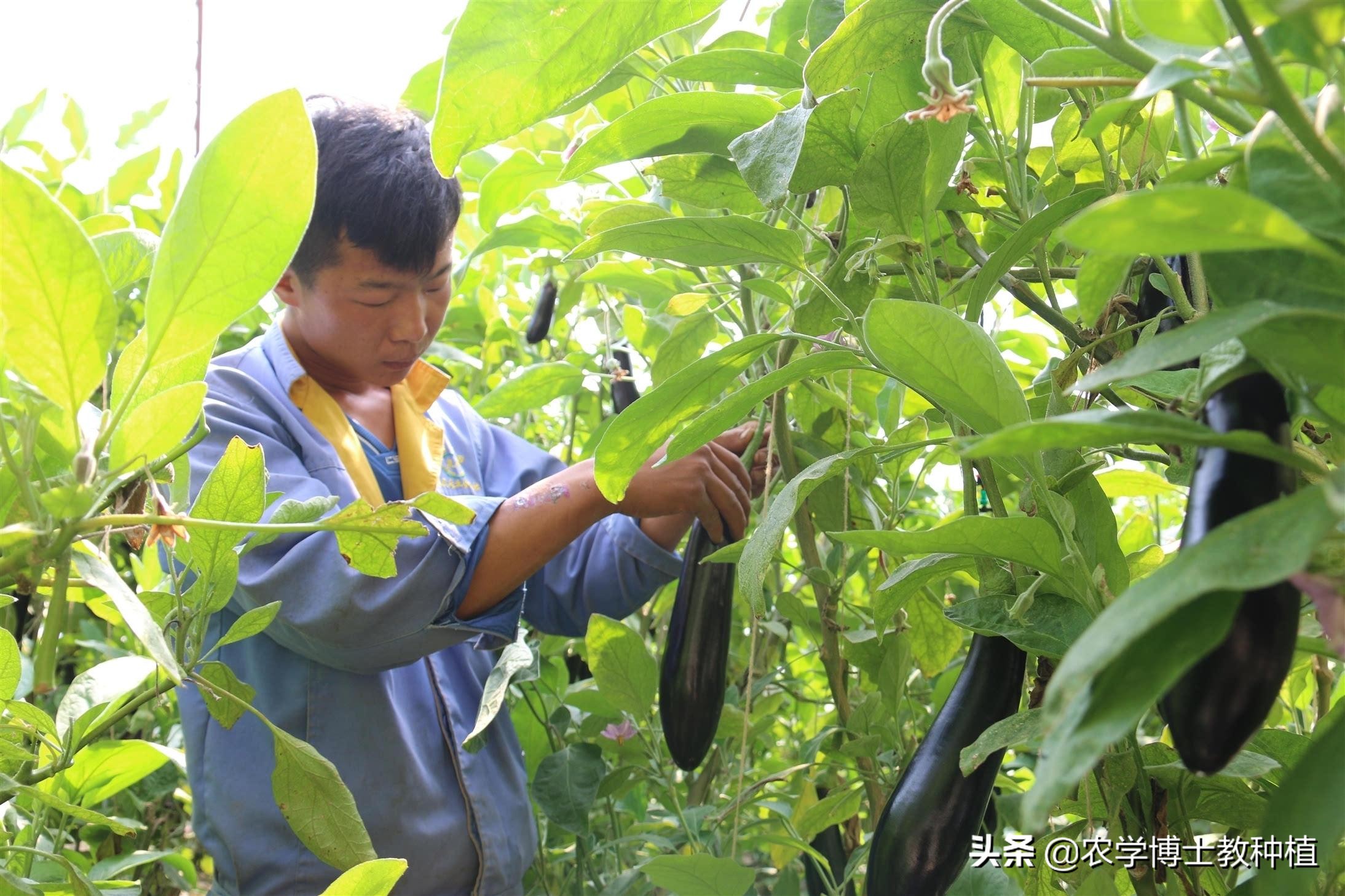 四门控制器怎么接线图解 四门控制器怎么接线图解