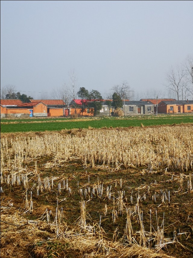 小偷不会偷哪种住户的东西_小偷模拟器怎么查看住户生活习惯