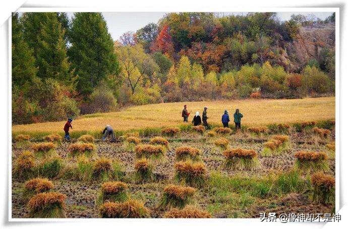 最火背景音乐纯音乐 最火背景音乐纯音乐下载