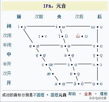 shape of you歌曲翻译成中文,歌曲翻译成中文