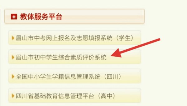 综合素质素质教育平台官网 综合素质素质教育平台官网