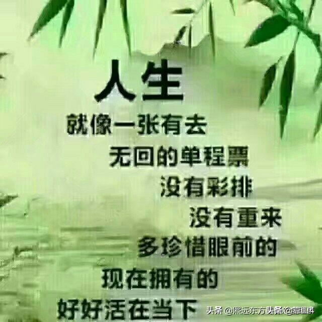 成事在天也在人打一个生肖是什么?,成事在天也在人打一个生肖