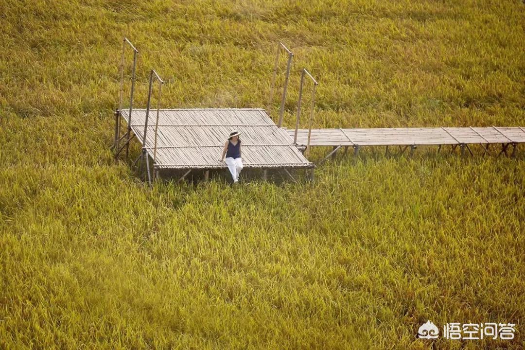 背景图高级感ins风 背景图高级感简约