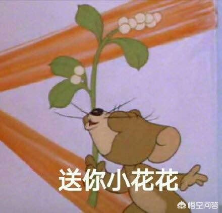 最近很火的背景音乐bgm 最近很火的背景音乐bgm你的目光