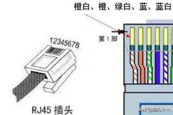 网线的制作图片大全,网线的制作图片