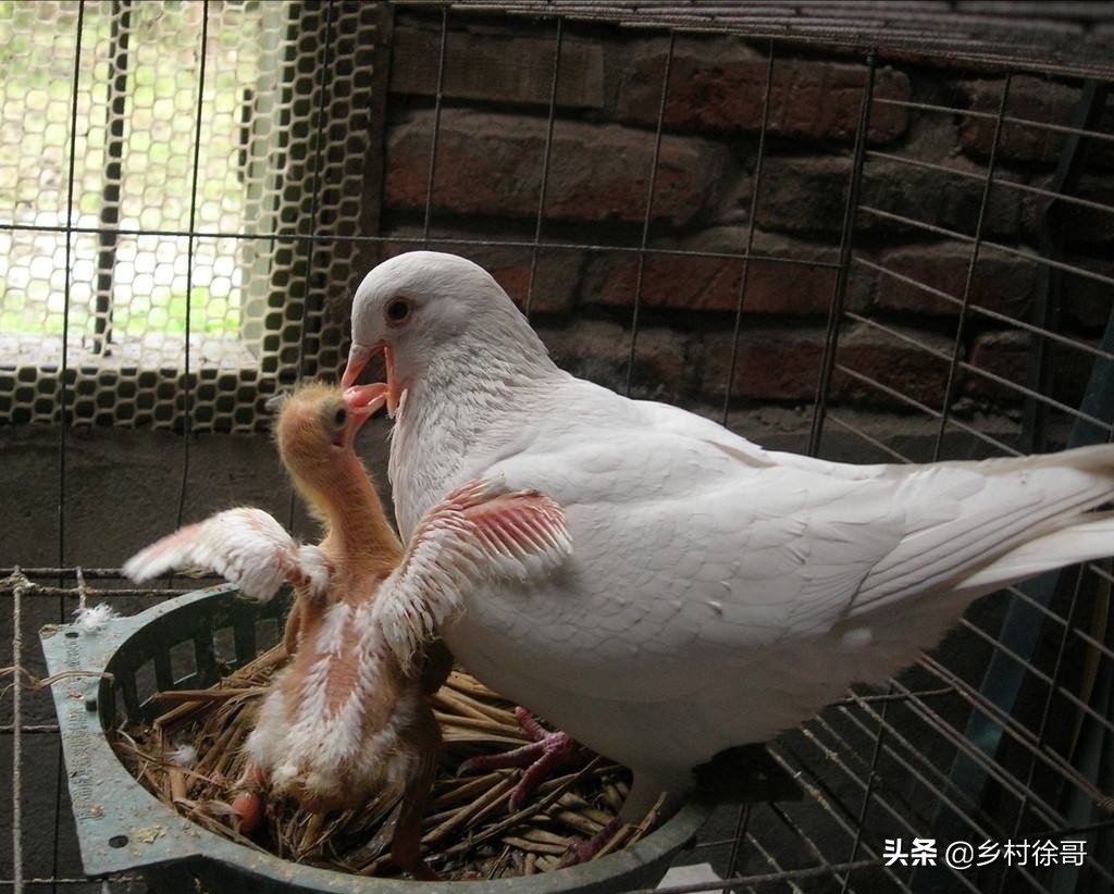 风管系统安装检验批怎么填写,风管系统安装检验批怎么填