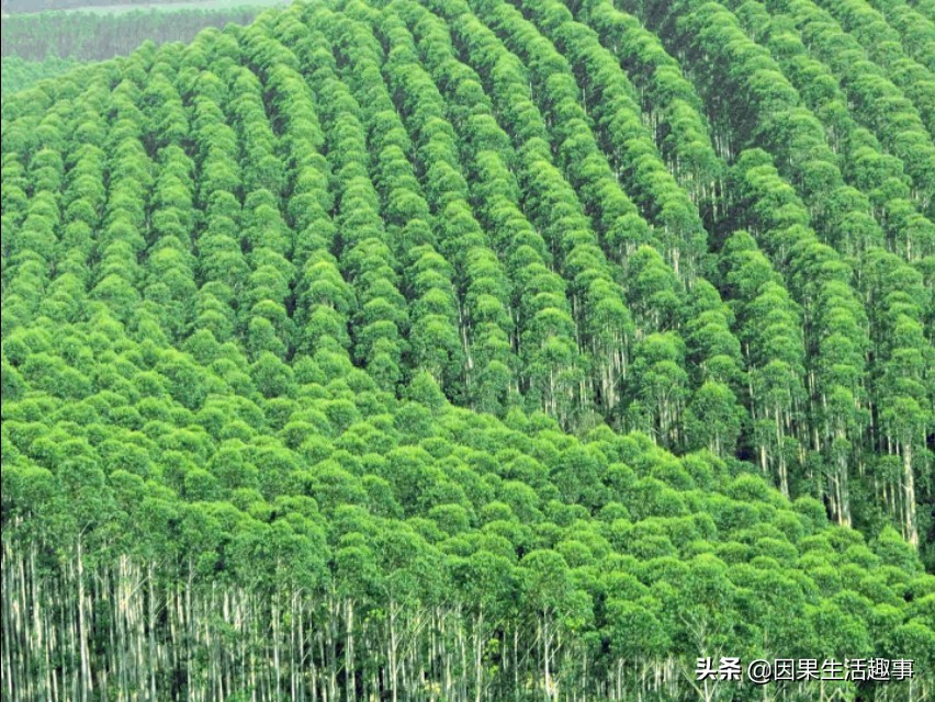 立地机器类型有哪几种图片_站桩有哪几种