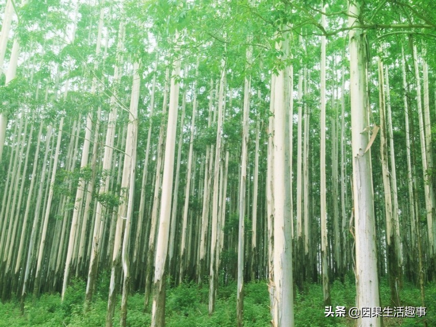 立地机器类型有哪几种图片_站桩有哪几种