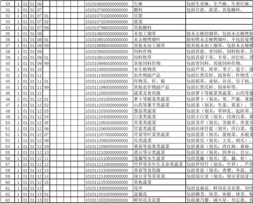 电脑及其维护服务税收分类编码详解