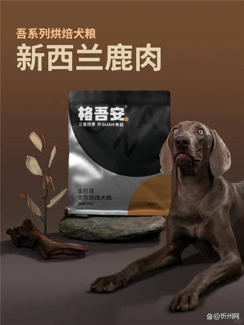 国产狗粮品牌前十强揭晓：宠物食品市场领导者一览