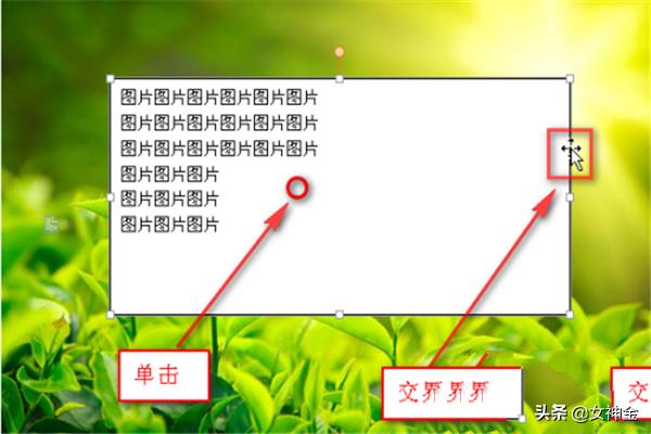 独一无二的背景图片头像_怎样在PDF文档中将插入的图片设置成透明背景