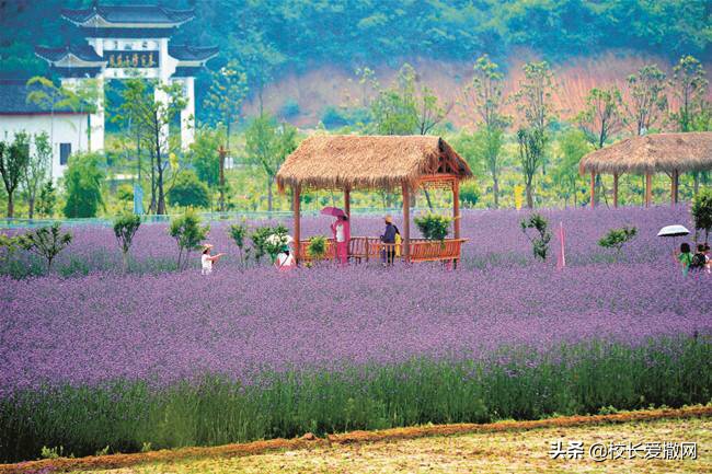 停车场设计方案ppt 地下停车场设计方案