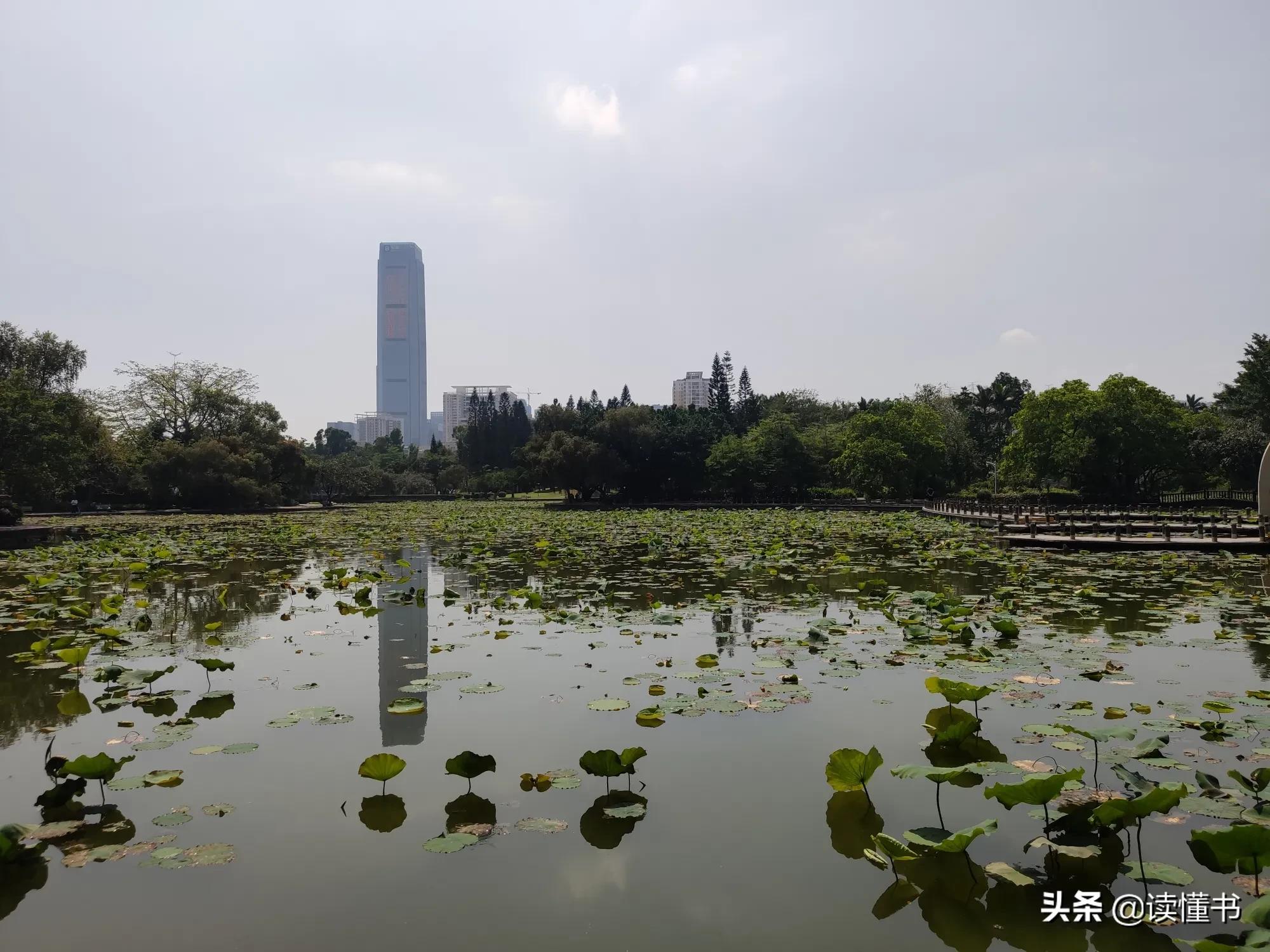 一套道闸系统多少钱啊,一套道闸系统多少钱