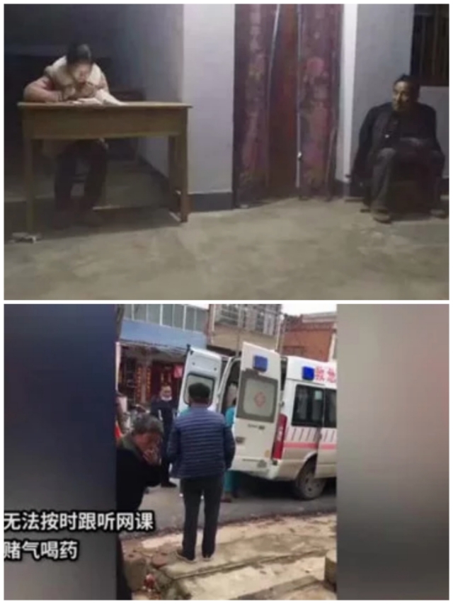 对线上活动的意见或者建议,谈谈你对线上活动的认识和理解