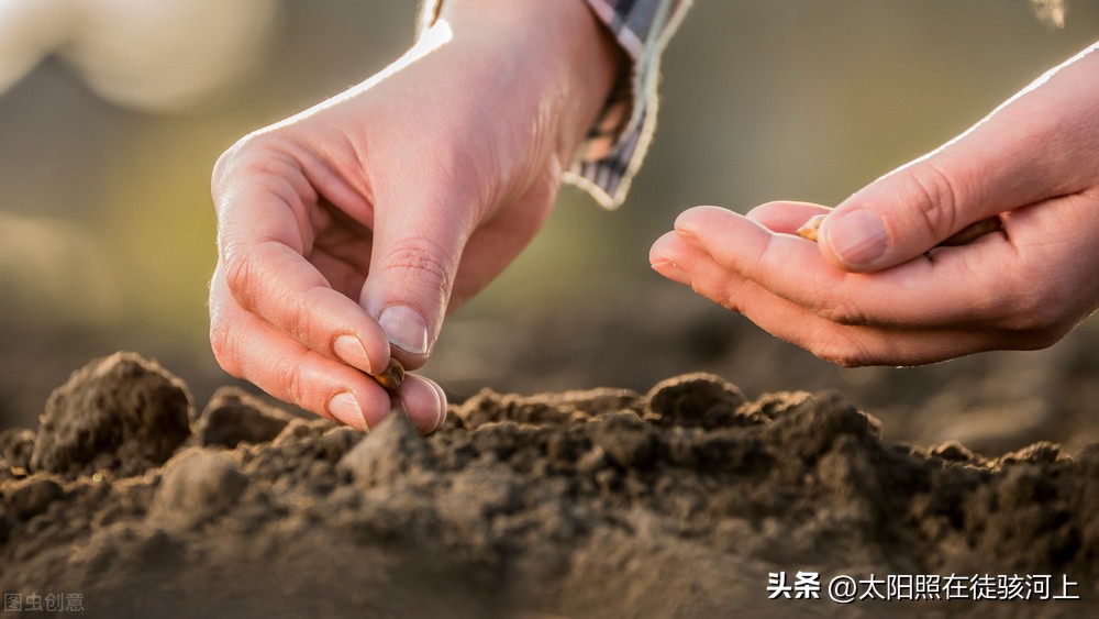 视频监控系统设计毕业设计 视频监控的毕业设计